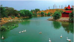 Safari Park